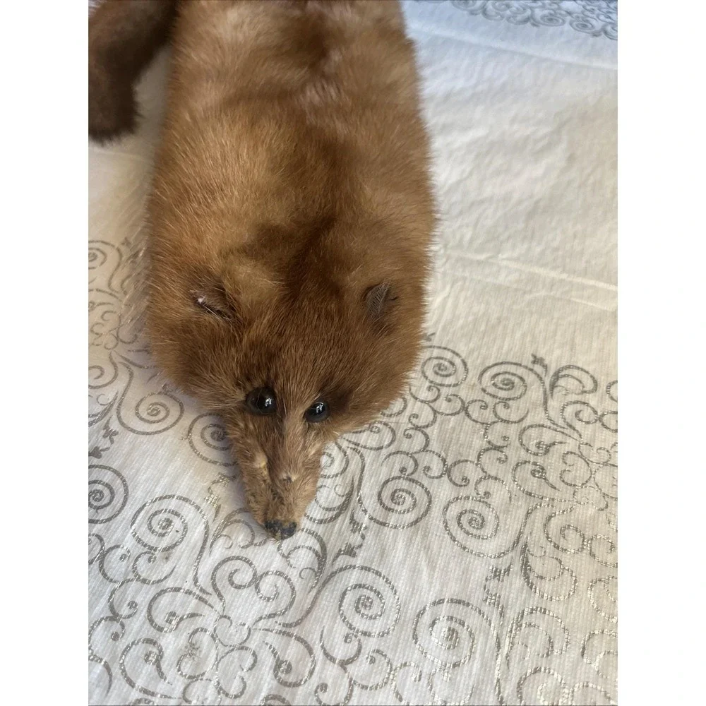 1950's L S Ayer's Co 3 Pelt Genuine Mink Fur Wrap Scarf 4 Ft Long Soft &Lovely